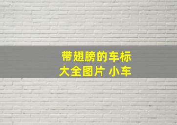 带翅膀的车标大全图片 小车